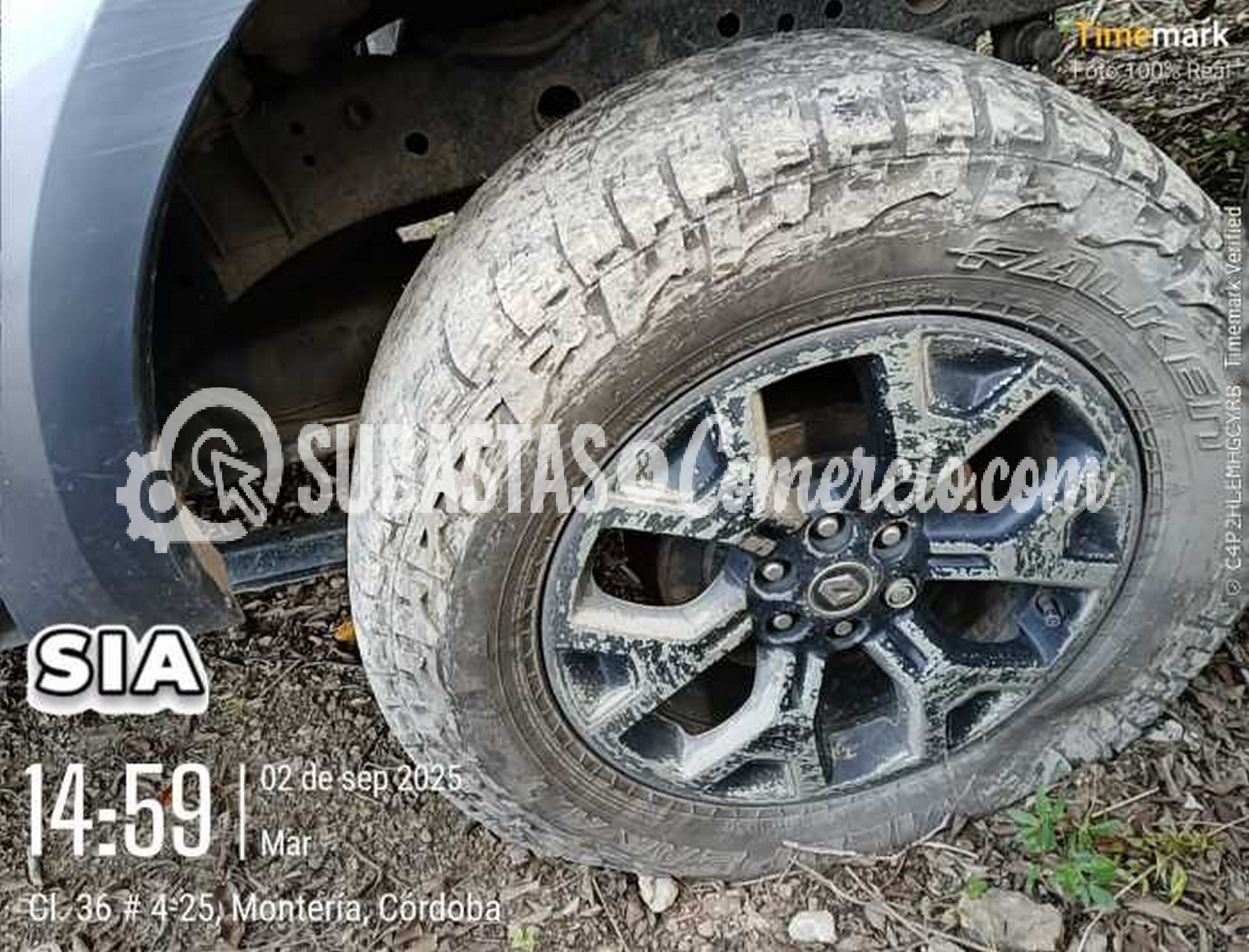 Imagen de WhatsApp 2025-09-02 a las 15.08.26_d44d75b2.jpg